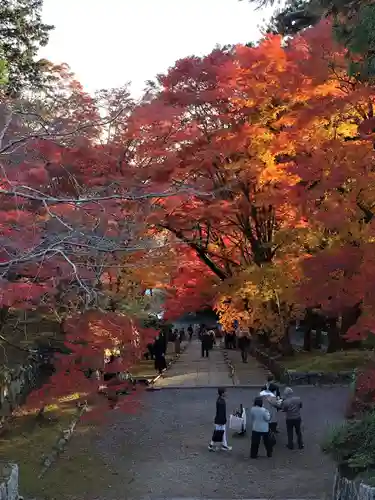 毘沙門堂門跡(京都府)