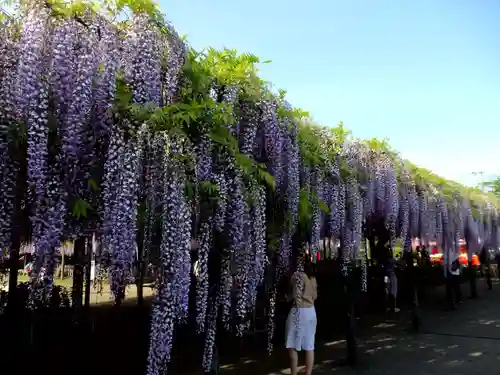 玉敷神社(埼玉県)