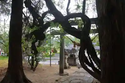 春日神社の景色