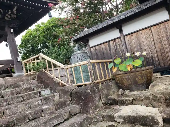 妙蓮寺のその他建物
