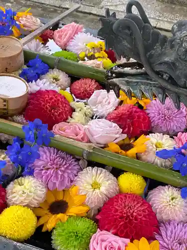 柳谷観音　楊谷寺の手水舎