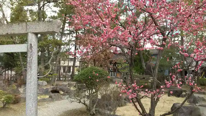 市原稲荷神社の自然