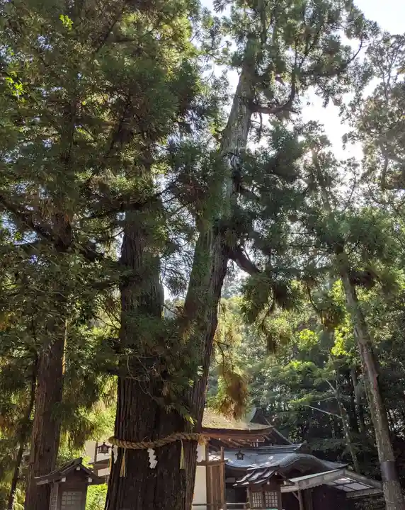 大神神社(奈良県)