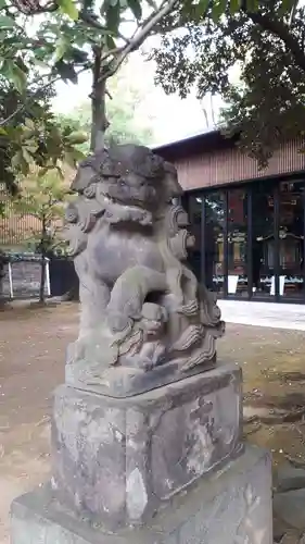 赤坂氷川神社の狛犬