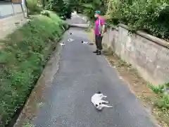 浄瑠璃寺の動物