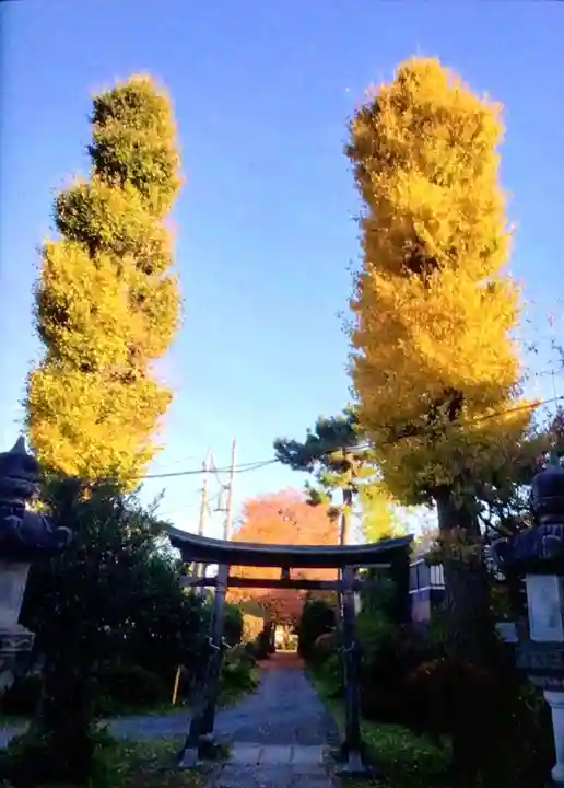 田端神社(東京都)