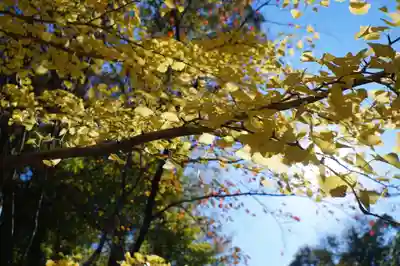 氣比神宮(福井県)