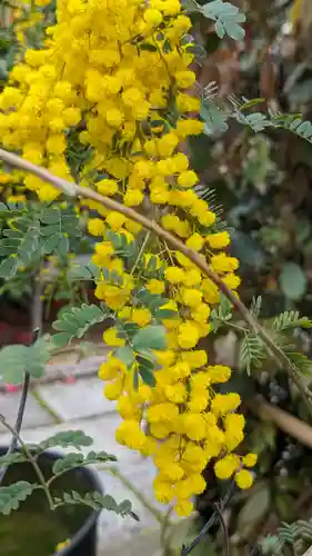 勝林寺(京都府)