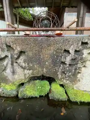 白金龍王社の{uncategorized: "未分類", other: "その他", undefined: "問題あり", building: "その他建物", grave: "お墓", sacred_gate: "鳥居", guardian: "狛犬", statue: "像", buddha: "仏像", history: "歴史", nature: "自然", garden: "庭園", animal: "動物", pagoda: "塔", temizu: "手水舎", mountain_gate: "山門・神門", sanctuary: "本殿・本堂", subordinate: "末社・摂社", art: "芸術", scenery: "景色", jizo: "地蔵", ema: "絵馬", goshuin: "御朱印", omikuji: "おみくじ", items: "授与品その他", amulet: "お守り", goshuincho: "御朱印帳", eats: "食事", festival: "お祭り", votive_dance: "神楽", shichigosan: "七五三参", wedding: "結婚式", experience: "体験その他", initially: "初詣", around: "周辺", anti_infection: "感染症対策"}