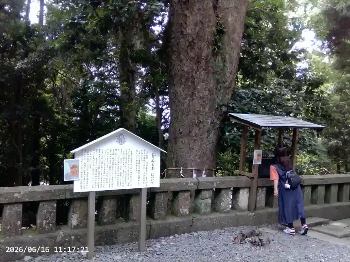 久能山東照宮(静岡県)