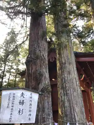 日光二荒山神社の{uncategorized: "未分類", other: "その他", undefined: "問題あり", building: "その他建物", grave: "お墓", sacred_gate: "鳥居", guardian: "狛犬", statue: "像", buddha: "仏像", history: "歴史", nature: "自然", garden: "庭園", animal: "動物", pagoda: "塔", temizu: "手水舎", mountain_gate: "山門・神門", sanctuary: "本殿・本堂", subordinate: "末社・摂社", art: "芸術", scenery: "景色", jizo: "地蔵", ema: "絵馬", goshuin: "御朱印", omikuji: "おみくじ", items: "授与品その他", amulet: "お守り", goshuincho: "御朱印帳", eats: "食事", festival: "お祭り", votive_dance: "神楽", shichigosan: "七五三参", wedding: "結婚式", experience: "体験その他", initially: "初詣", around: "周辺", anti_infection: "感染症対策"}