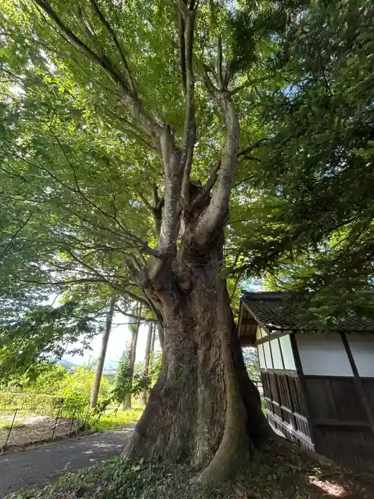 出早雄神社(長野県)