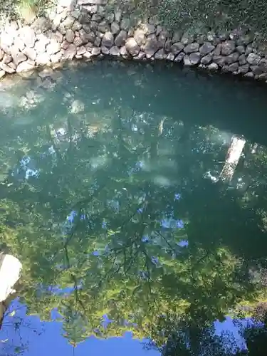 唐澤山神社の庭園