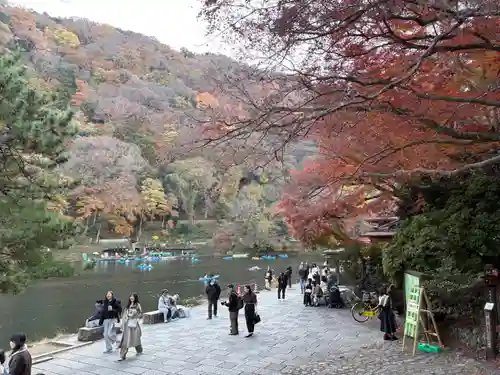 野宮神社(京都府)