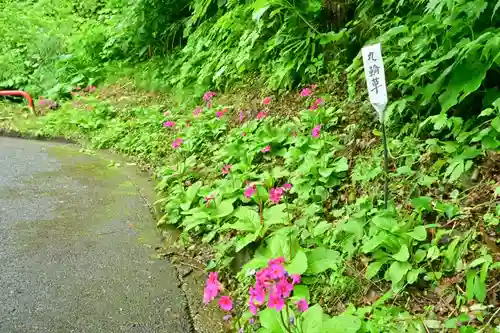 高龍神社(新潟県)