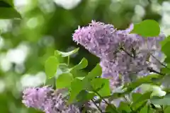 宝光寺の自然