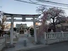 氷川神社の鳥居