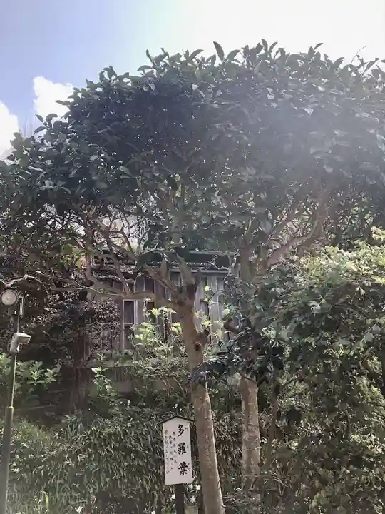 佛日庵(神奈川県)