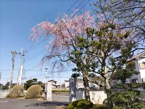 慈法寺の庭園