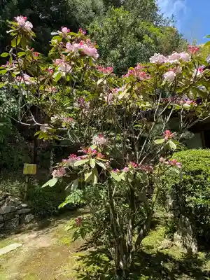 牟禮山観音禅寺の{uncategorized: "未分類", other: "その他", undefined: "問題あり", building: "その他建物", grave: "お墓", sacred_gate: "鳥居", guardian: "狛犬", statue: "像", buddha: "仏像", history: "歴史", nature: "自然", garden: "庭園", animal: "動物", pagoda: "塔", temizu: "手水舎", mountain_gate: "山門・神門", sanctuary: "本殿・本堂", subordinate: "末社・摂社", art: "芸術", scenery: "景色", jizo: "地蔵", ema: "絵馬", goshuin: "御朱印", omikuji: "おみくじ", items: "授与品その他", amulet: "お守り", goshuincho: "御朱印帳", eats: "食事", festival: "お祭り", votive_dance: "神楽", shichigosan: "七五三参", wedding: "結婚式", experience: "体験その他", initially: "初詣", around: "周辺", anti_infection: "感染症対策"}