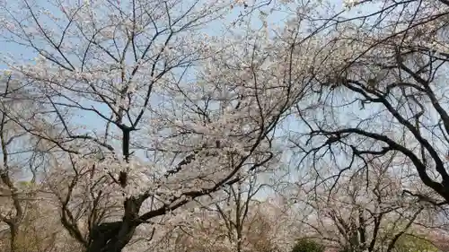 平野神社(京都府)