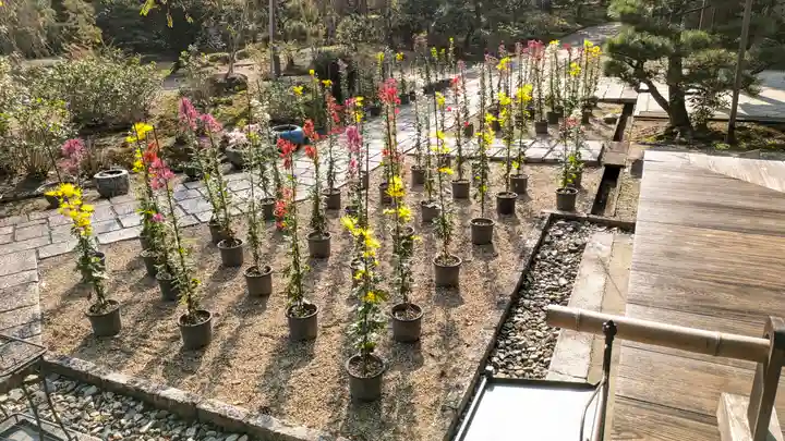 法金剛院(京都府)