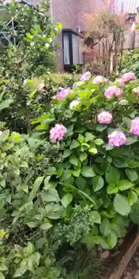 佐竹稲荷神社(東京都)