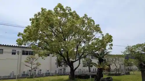 蛭子神社の自然