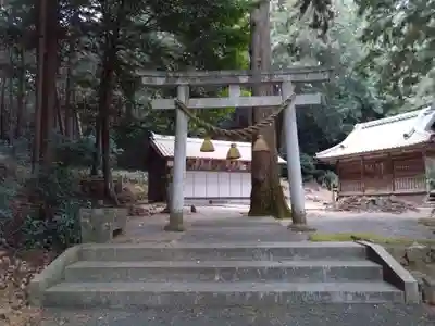 稲束神社(平尾町)の鳥居
