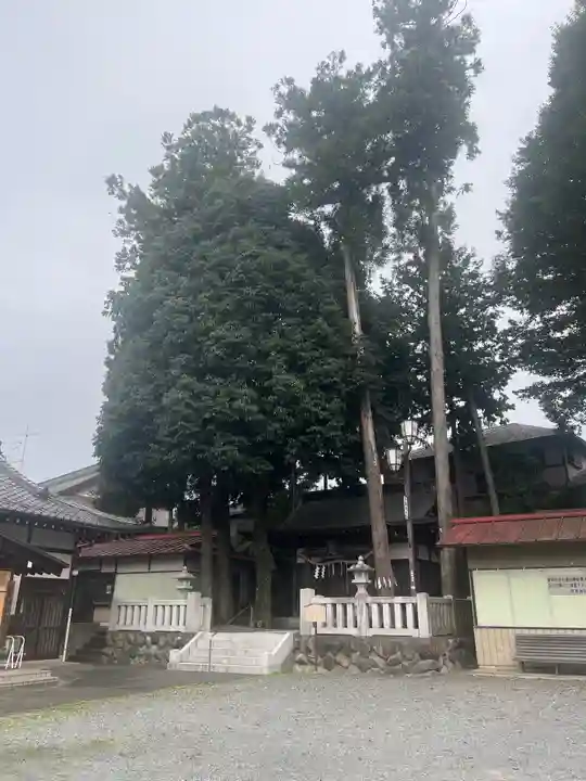 秋葉神社(埼玉県)