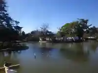 鶴岡八幡宮の庭園