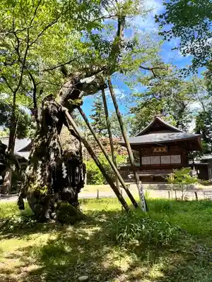 蠶養國神社(福島県)
