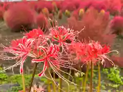 遠照寺(山梨県)