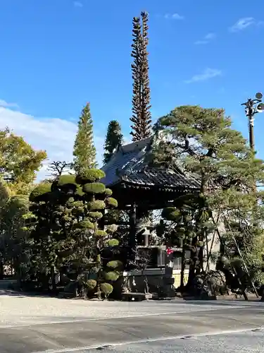 照明寺　(反町薬師尊)(群馬県)