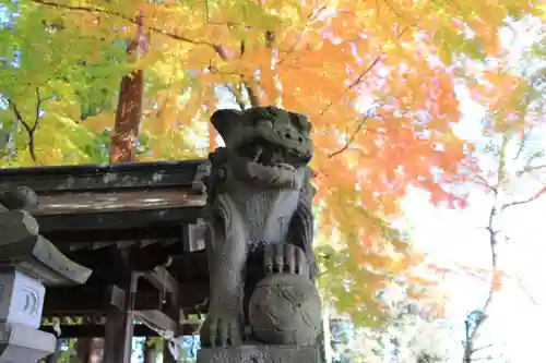 鎌足神社の狛犬