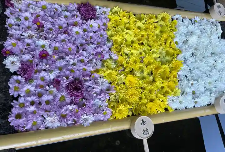 土津神社|こどもと出世の神さまの手水舎