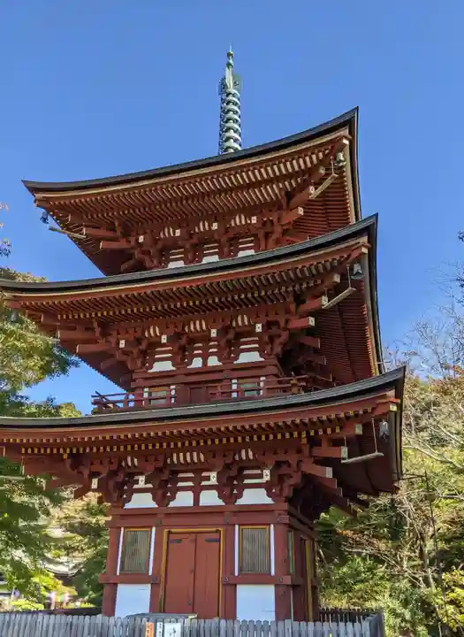 岡寺(龍蓋寺)(奈良県)