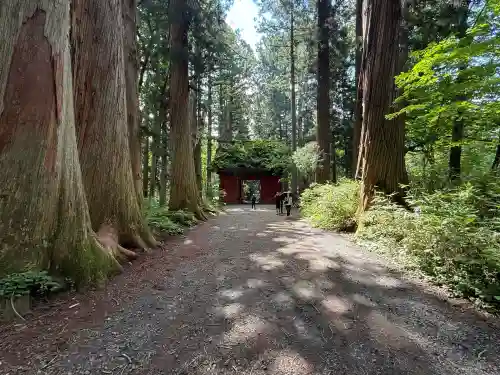 戸隠神社奥社(長野県)