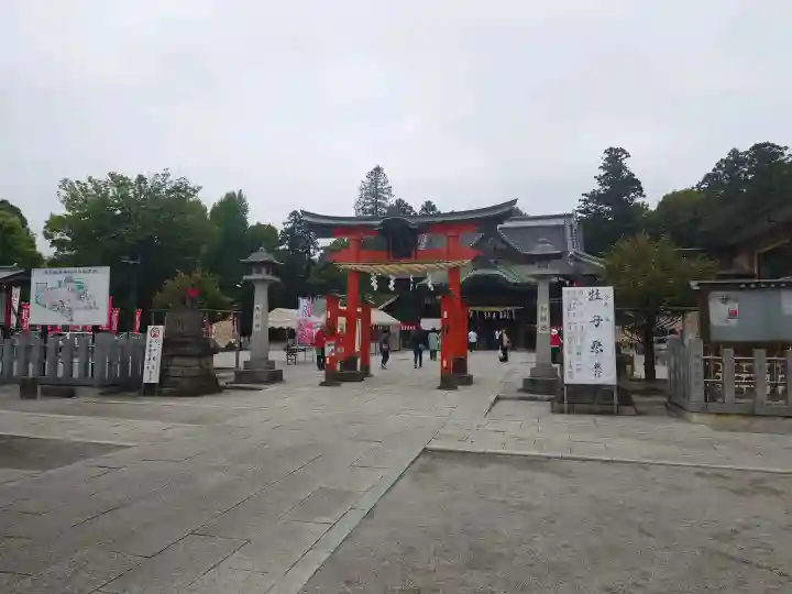 箭弓稲荷神社の{uncategorized: "未分類", other: "その他", undefined: "問題あり", building: "その他建物", grave: "お墓", sacred_gate: "鳥居", guardian: "狛犬", statue: "像", buddha: "仏像", history: "歴史", nature: "自然", garden: "庭園", animal: "動物", pagoda: "塔", temizu: "手水舎", mountain_gate: "山門・神門", sanctuary: "本殿・本堂", subordinate: "末社・摂社", art: "芸術", scenery: "景色", jizo: "地蔵", ema: "絵馬", goshuin: "御朱印", omikuji: "おみくじ", items: "授与品その他", amulet: "お守り", goshuincho: "御朱印帳", eats: "食事", festival: "お祭り", votive_dance: "神楽", shichigosan: "七五三参", wedding: "結婚式", experience: "体験その他", initially: "初詣", around: "周辺", anti_infection: "感染症対策"}