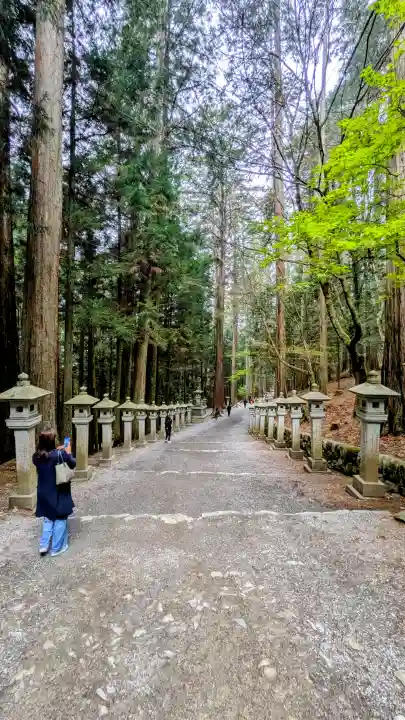 三峯神社の{uncategorized: "未分類", other: "その他", undefined: "問題あり", building: "その他建物", grave: "お墓", sacred_gate: "鳥居", guardian: "狛犬", statue: "像", buddha: "仏像", history: "歴史", nature: "自然", garden: "庭園", animal: "動物", pagoda: "塔", temizu: "手水舎", mountain_gate: "山門・神門", sanctuary: "本殿・本堂", subordinate: "末社・摂社", art: "芸術", scenery: "景色", jizo: "地蔵", ema: "絵馬", goshuin: "御朱印", omikuji: "おみくじ", items: "授与品その他", amulet: "お守り", goshuincho: "御朱印帳", eats: "食事", festival: "お祭り", votive_dance: "神楽", shichigosan: "七五三参", wedding: "結婚式", experience: "体験その他", initially: "初詣", around: "周辺", anti_infection: "感染症対策"}