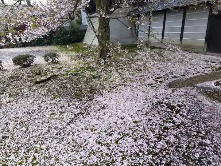 毫攝寺(福井県)