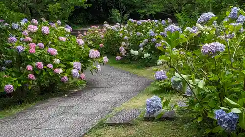 智積院(京都府)