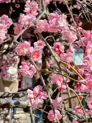 源九郎稲荷神社(奈良県)