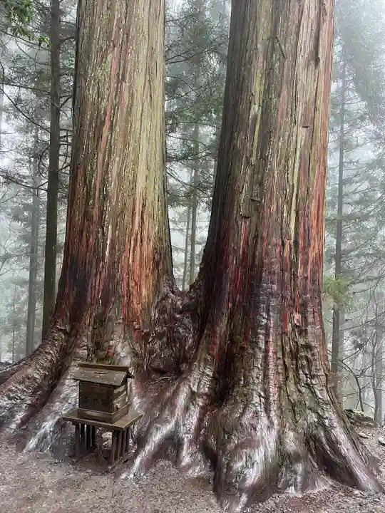 三峯神社(埼玉県)