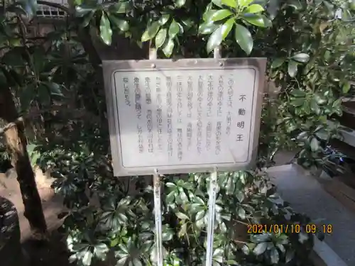 正寶院（飛不動尊）の歴史