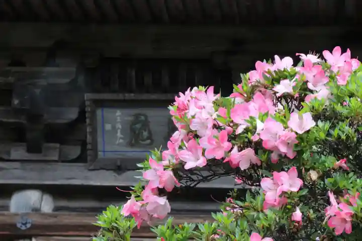 国宝 大法寺(長野県)