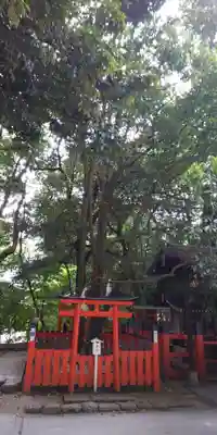 賀茂御祖神社(下鴨神社)の末社・摂社