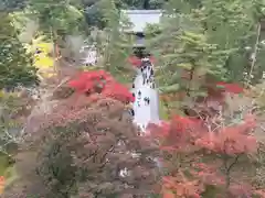 南禅寺の御朱印