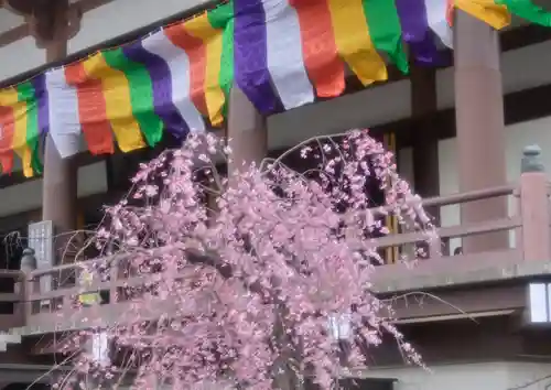 西新井大師総持寺の自然