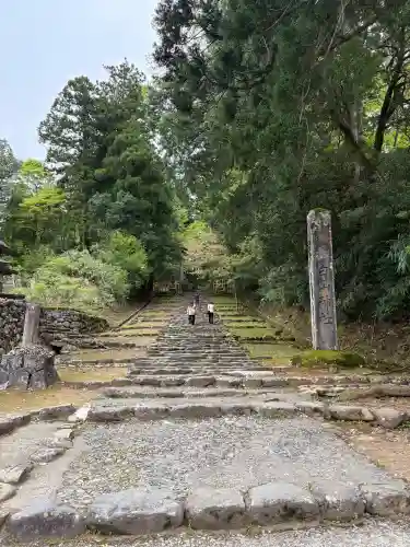 平泉寺白山神社の{uncategorized: "未分類", other: "その他", undefined: "問題あり", building: "その他建物", grave: "お墓", sacred_gate: "鳥居", guardian: "狛犬", statue: "像", buddha: "仏像", history: "歴史", nature: "自然", garden: "庭園", animal: "動物", pagoda: "塔", temizu: "手水舎", mountain_gate: "山門・神門", sanctuary: "本殿・本堂", subordinate: "末社・摂社", art: "芸術", scenery: "景色", jizo: "地蔵", ema: "絵馬", goshuin: "御朱印", omikuji: "おみくじ", items: "授与品その他", amulet: "お守り", goshuincho: "御朱印帳", eats: "食事", festival: "お祭り", votive_dance: "神楽", shichigosan: "七五三参", wedding: "結婚式", experience: "体験その他", initially: "初詣", around: "周辺", anti_infection: "感染症対策"}
